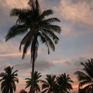 Meet your Posher, Bag lady